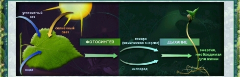 Приложение 1